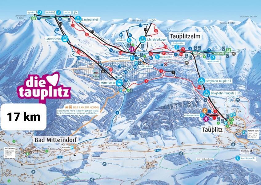 Ausseerland Apartments - Relax, Ski, Hike And Bike, Garden, Parking, Bbq, Near Hallstatt, Loser, Tauplitz And Krippenstein, Free Wi-Fi And Netflix Бад Аусзее Экстерьер фото