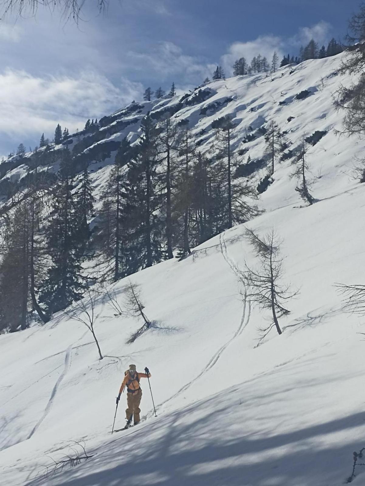 Ausseerland Apartments - Relax, Ski, Hike And Bike, Garden, Parking, Bbq, Near Hallstatt, Loser, Tauplitz And Krippenstein, Free Wi-Fi And Netflix Бад Аусзее Экстерьер фото