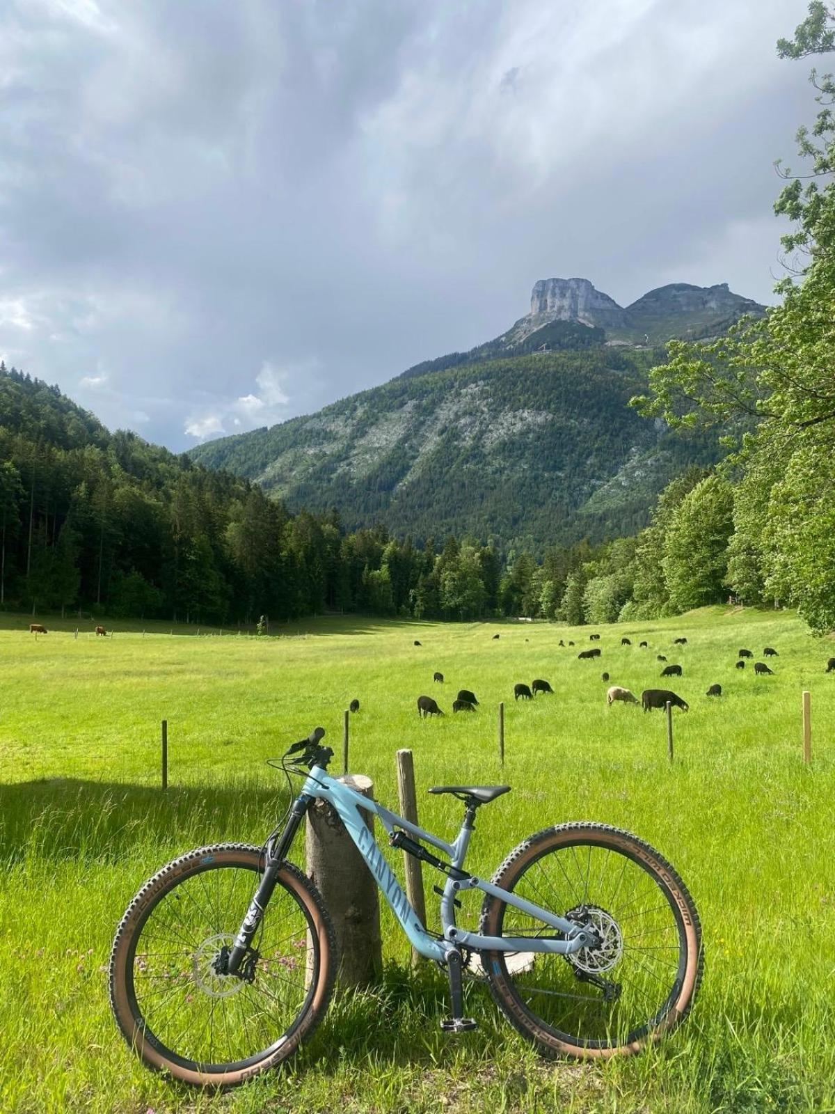 Ausseerland Apartments - Relax, Ski, Hike And Bike, Garden, Parking, Bbq, Near Hallstatt, Loser, Tauplitz And Krippenstein, Free Wi-Fi And Netflix Бад Аусзее Экстерьер фото
