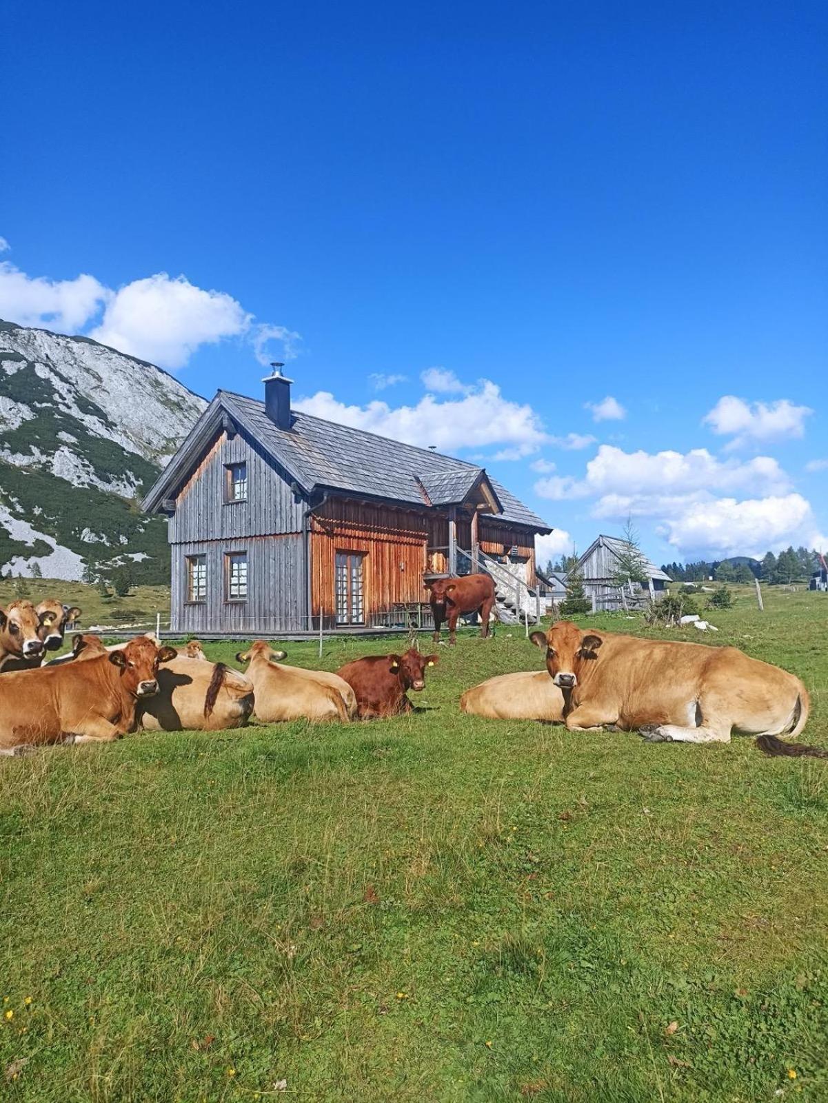 Ausseerland Apartments - Relax, Ski, Hike And Bike, Garden, Parking, Bbq, Near Hallstatt, Loser, Tauplitz And Krippenstein, Free Wi-Fi And Netflix Бад Аусзее Экстерьер фото